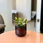 Appartamento Studio apartman Kőszeg