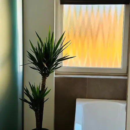 Studio Apartman Apartman