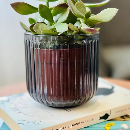 Appartement Studio Apartman Kőszeg